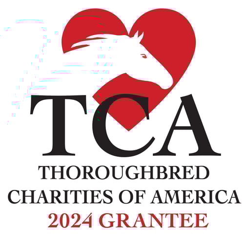 2024 Grantee Logo CTA-1