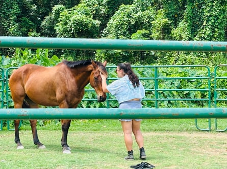 20240601_150323377_iOS