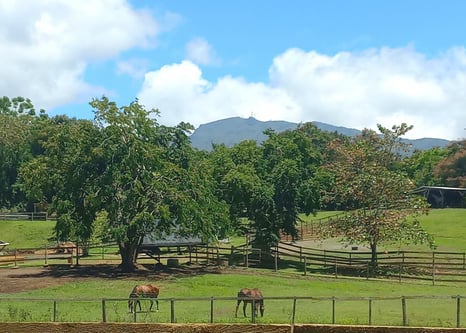 539598061_1333076058822278_2834086733548027938_n