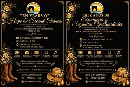 Event Invite CTA 10 years bilingial Event Invite CTA 10 years bilingial