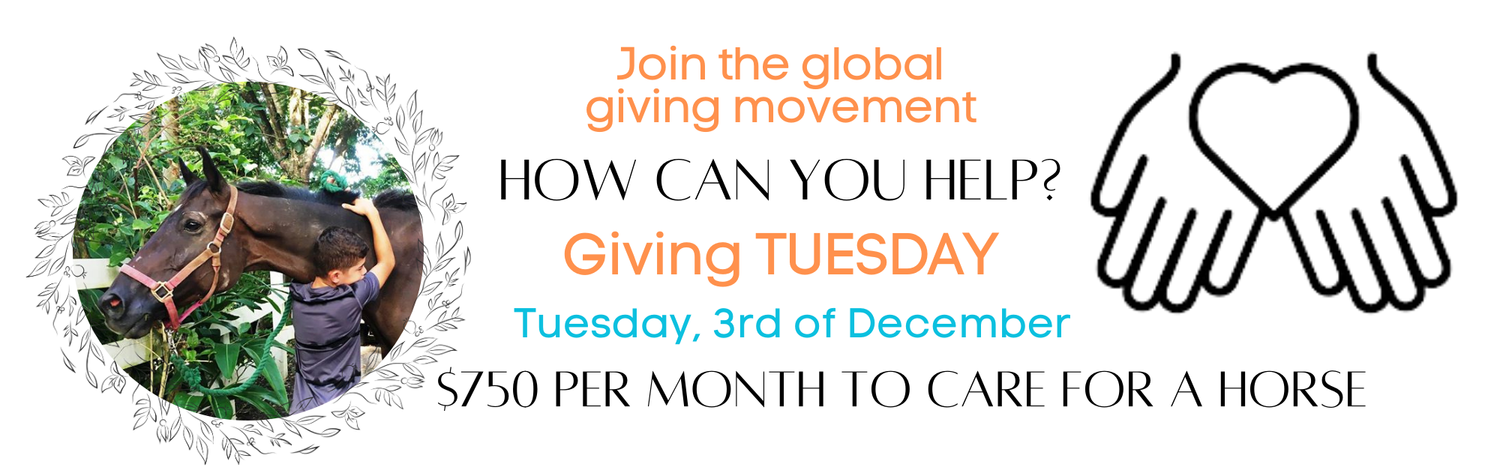 Join the global giving movement-1
