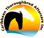 TAA Accredited Thoroughbred Aftercare