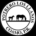 Potrero Los Llanos Logo