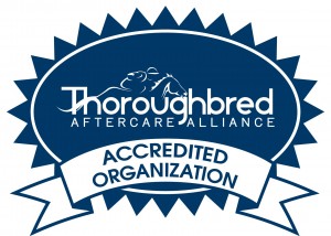Caribbean Thoroughbred Aftercare is a TAA Accredited Aftercare
