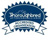 FINAL-TAA_Badge-NO-DATE-300x214-1