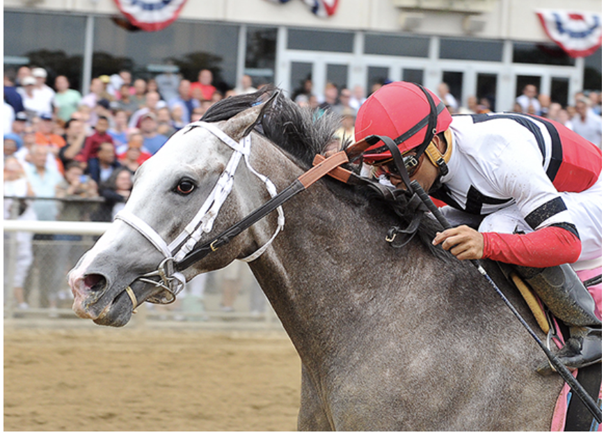 fish trappe road retired to caribbean thoroughbred aftercare