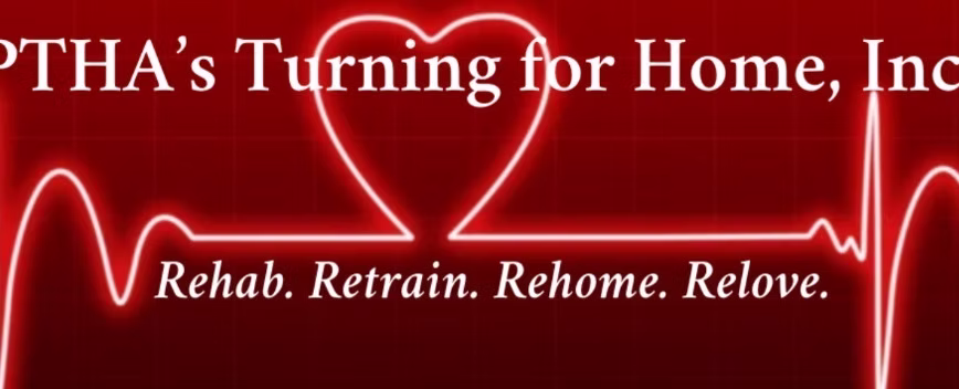 Turning for Home Logo